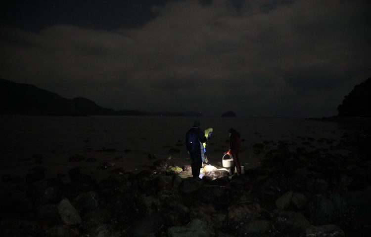 宵漁り体験の写真